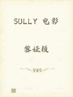 SULLY 电影